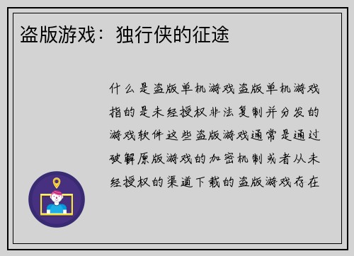 盗版游戏：独行侠的征途